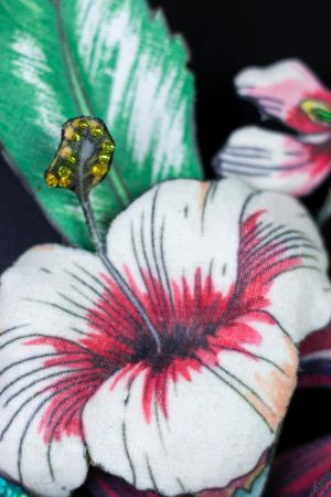 historische decoratieve beeldtaal in een wandobject