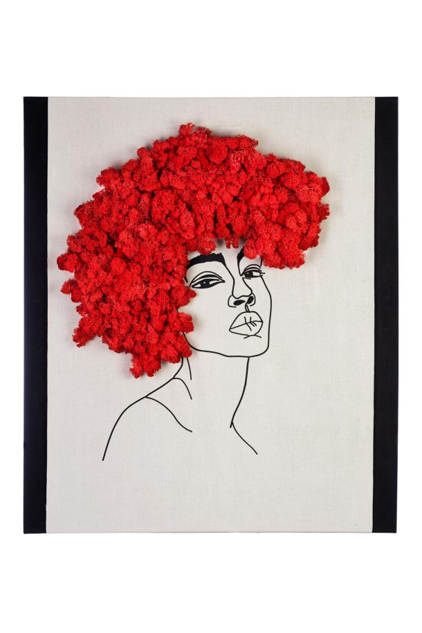 Organische wandobjecten van mos