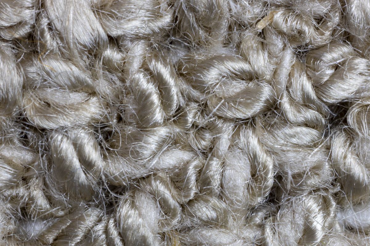 ultra macro photo of boucle